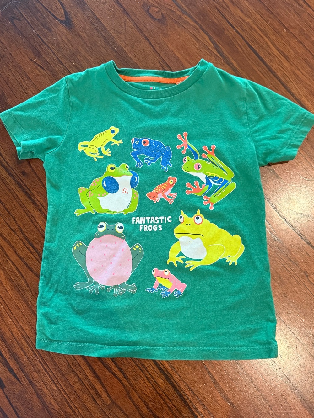 Mini BodenGreen 'Fantastic Frogs' Kids T-Shirt size 7-8